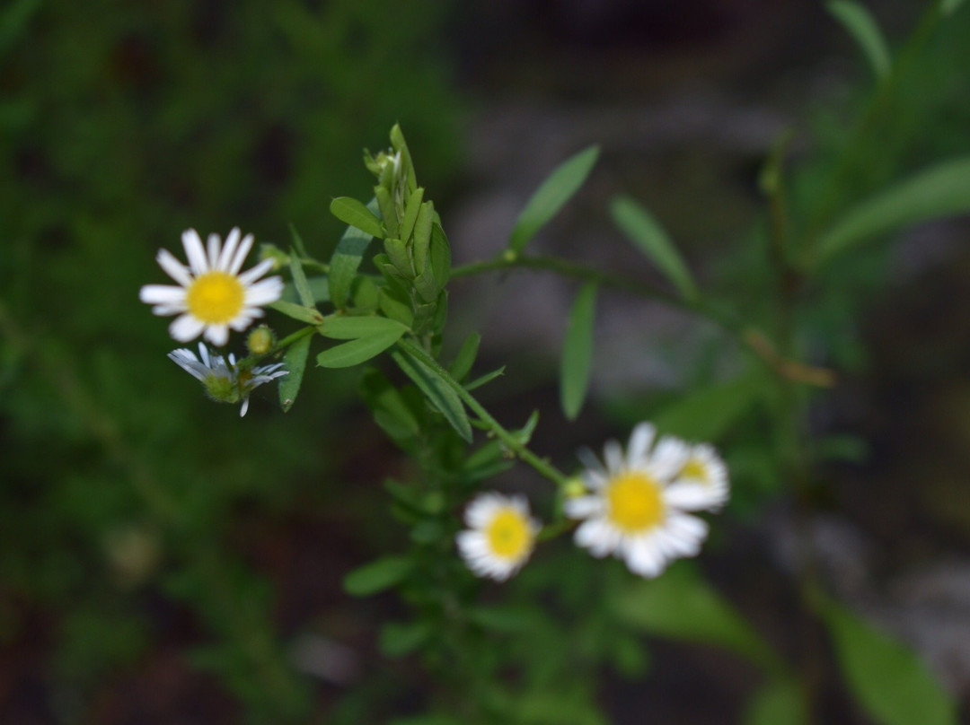 Lake Springfield Park, Boathouse and Marina-斯普林菲尔德必去景点