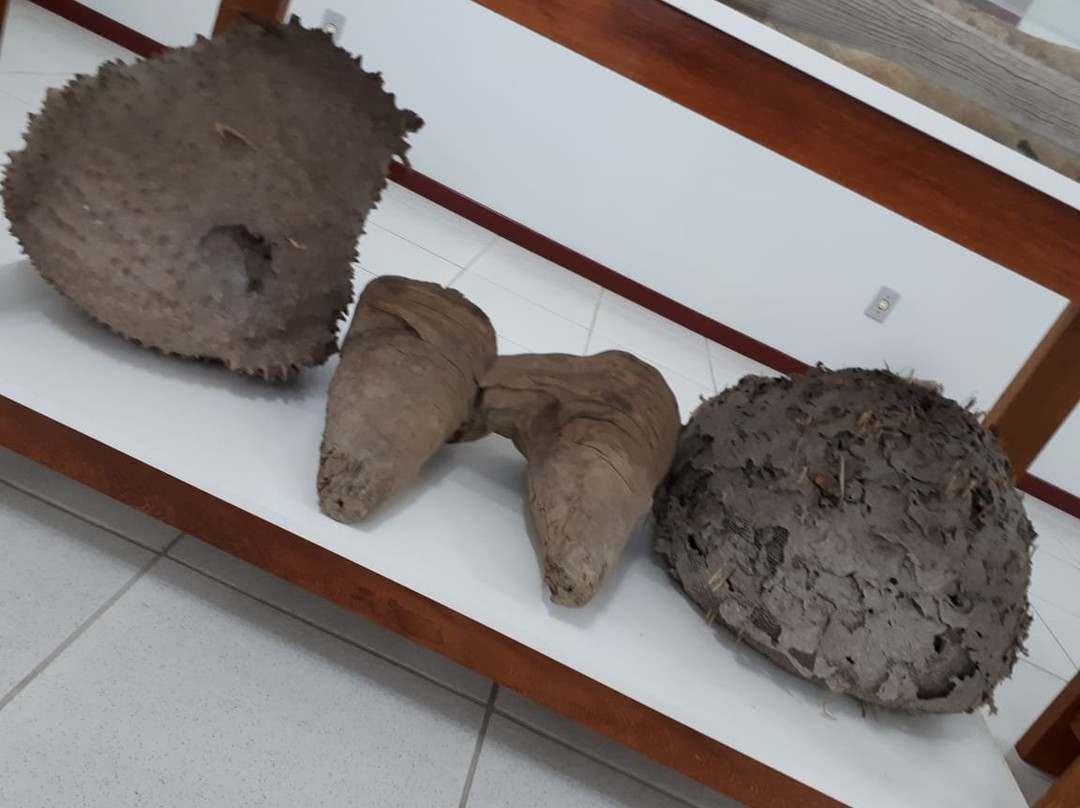 Lomba Alta Museum of Archaeology-Alfredo Wagner必去景点