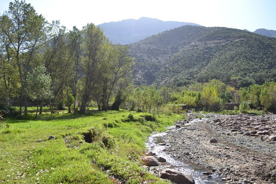 Ferme By Ikalimo主图