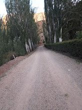 Bosque Divino Cabanas & Suites主图