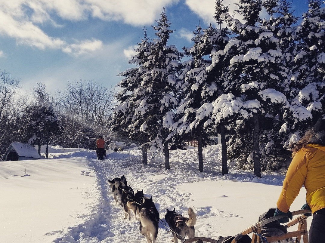 Gîte Aux jardins de l'Anse主图