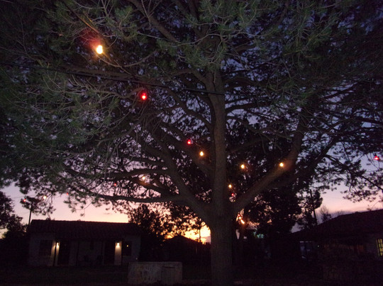 Antelope Lodge主图