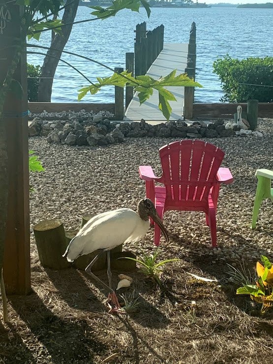 A-Bayview Bed and Breakfast主图