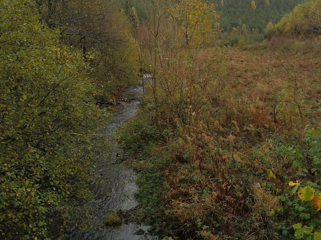 Hotel Gai-Sejour主图