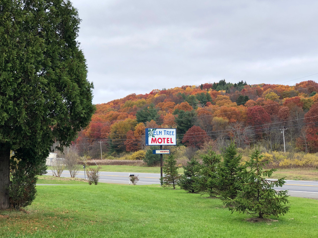Elm Tree Motel主图