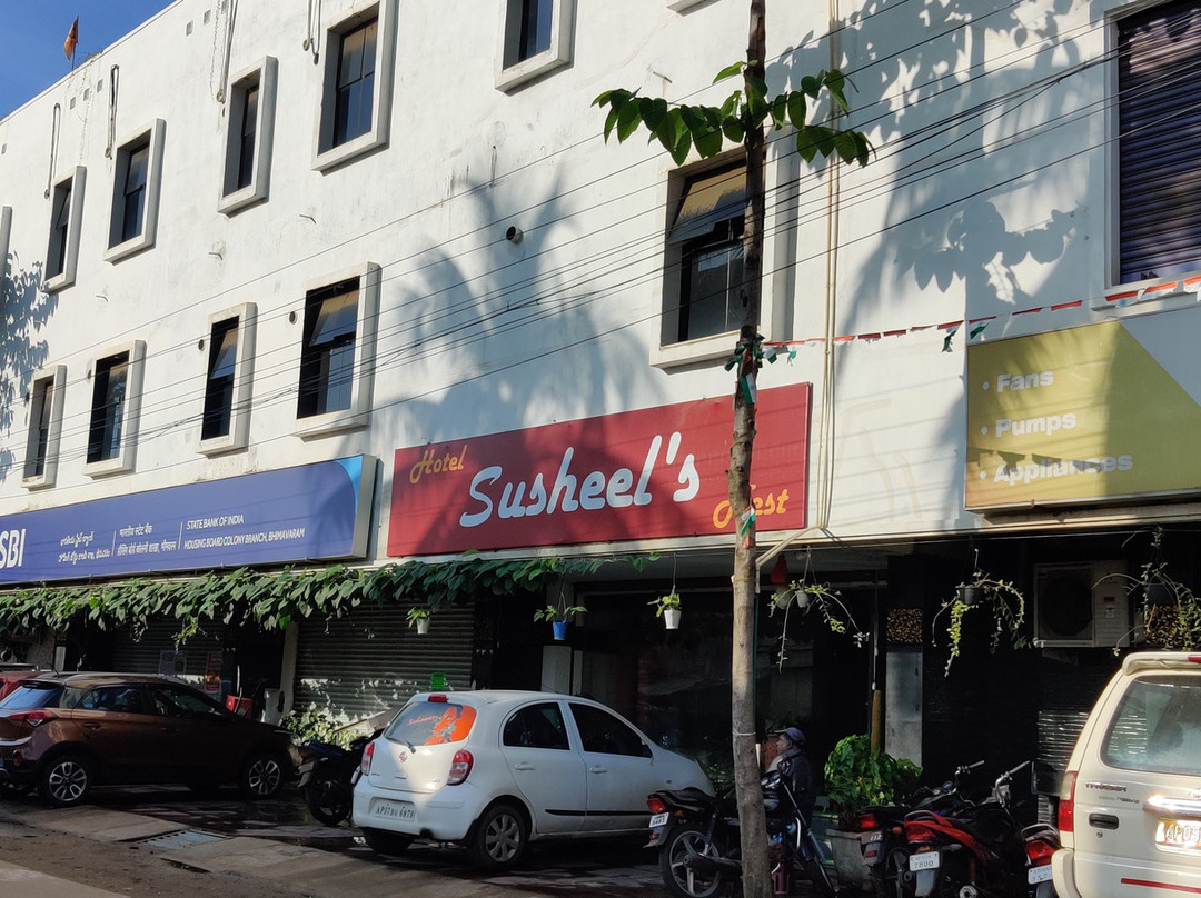 Hotel Susheels Nest主图