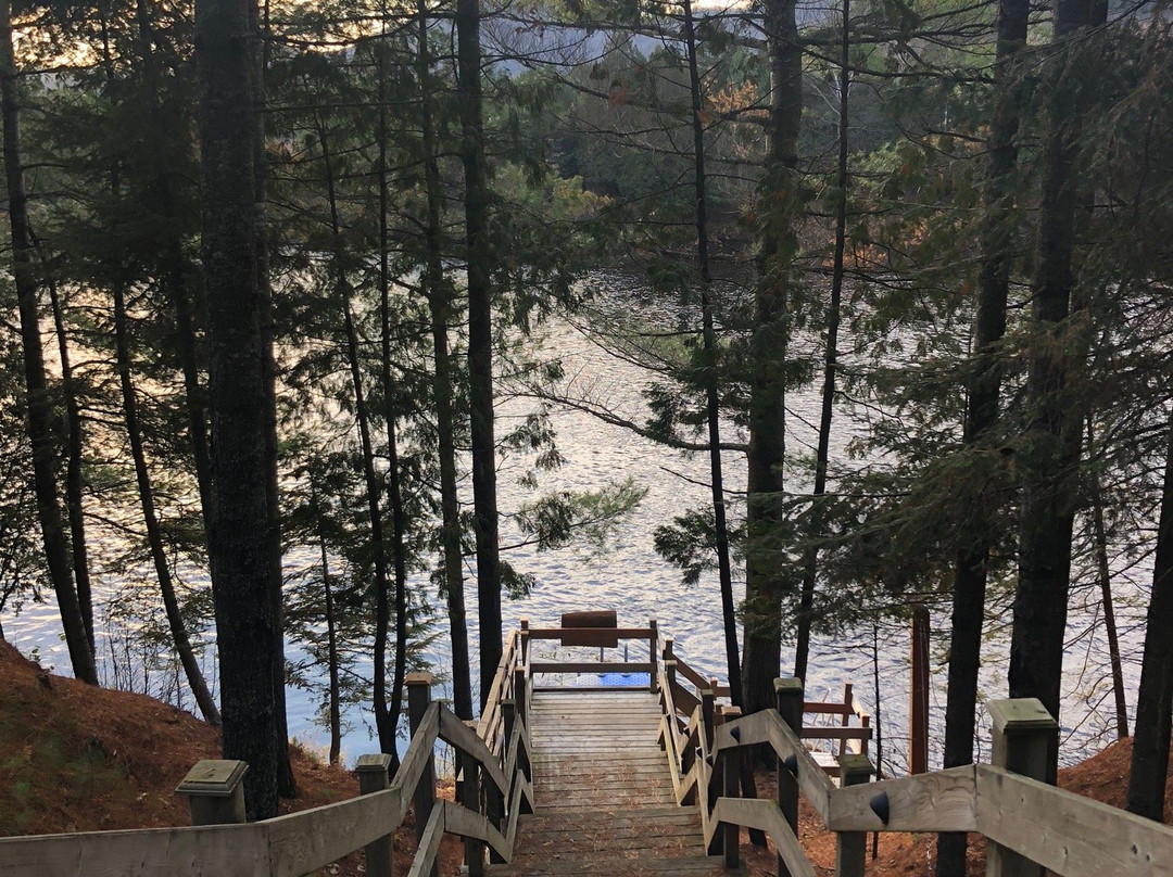 Auberge le Cosy Tremblant主图