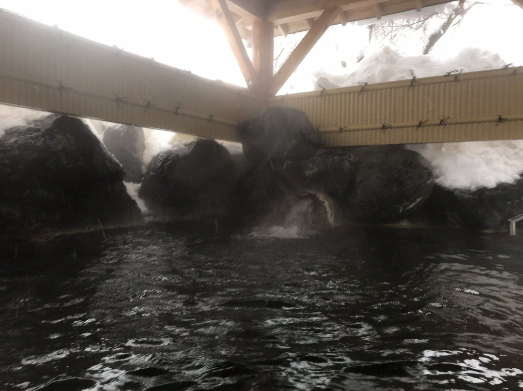 Ishiuchi Yung Parunas Day-use spa-南鱼沼市必去景点