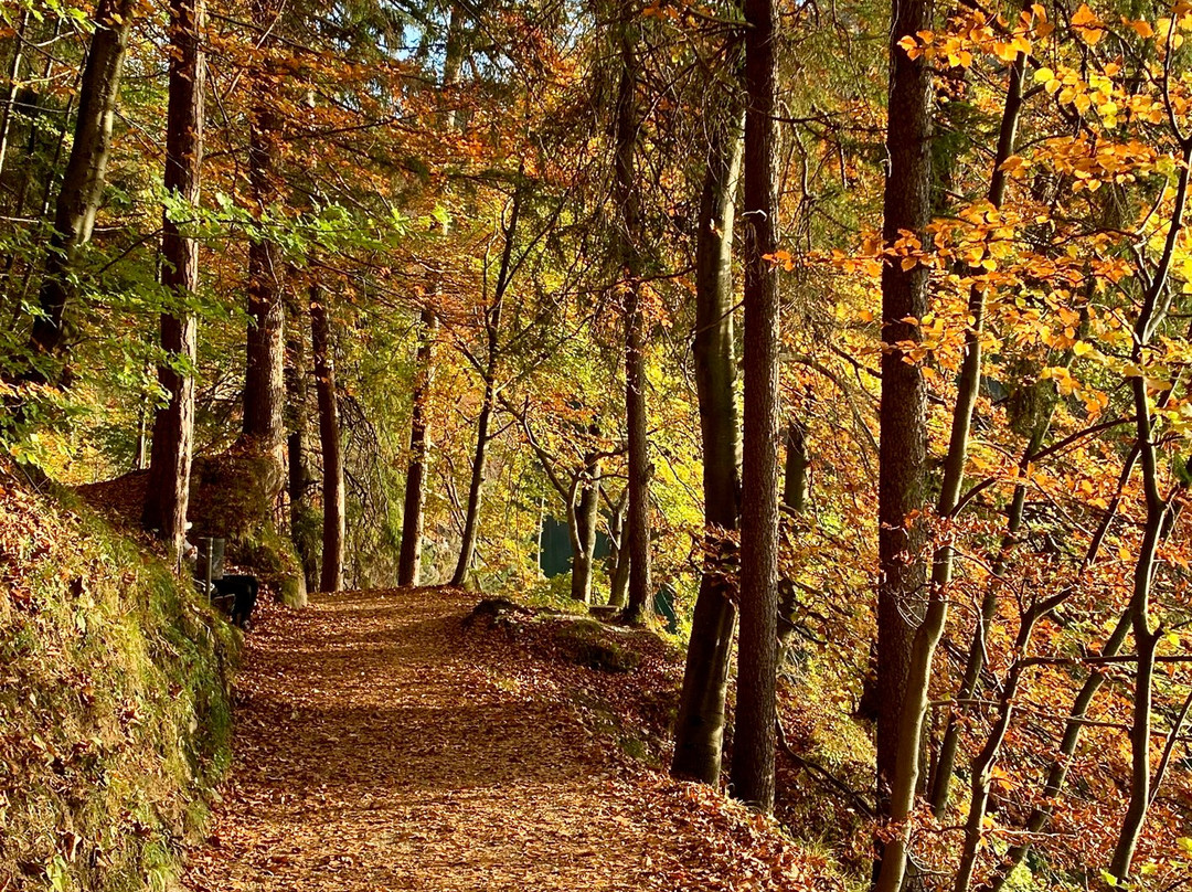 Hechtsee-库夫石必去景点