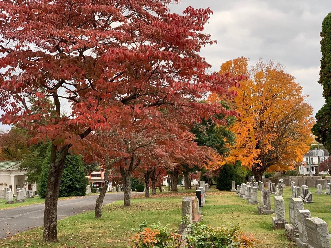 Thornrose Cemetery景点图片