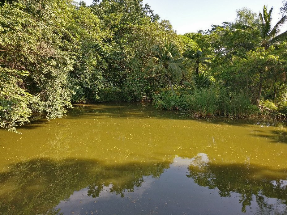 Sri Nakhon Khuean Khan Park And Botanical Garden-帕巴登必去景点