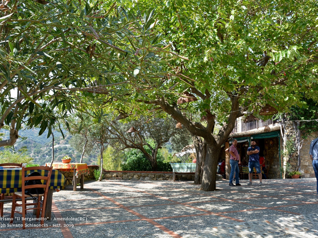 Agriturismo Il Bergamotto主图