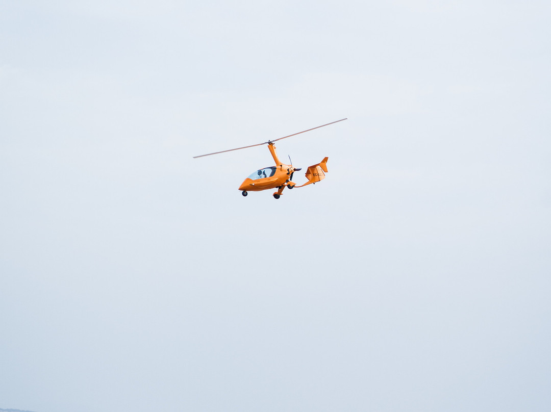 Falcon View Tours-科尔多瓦必去景点