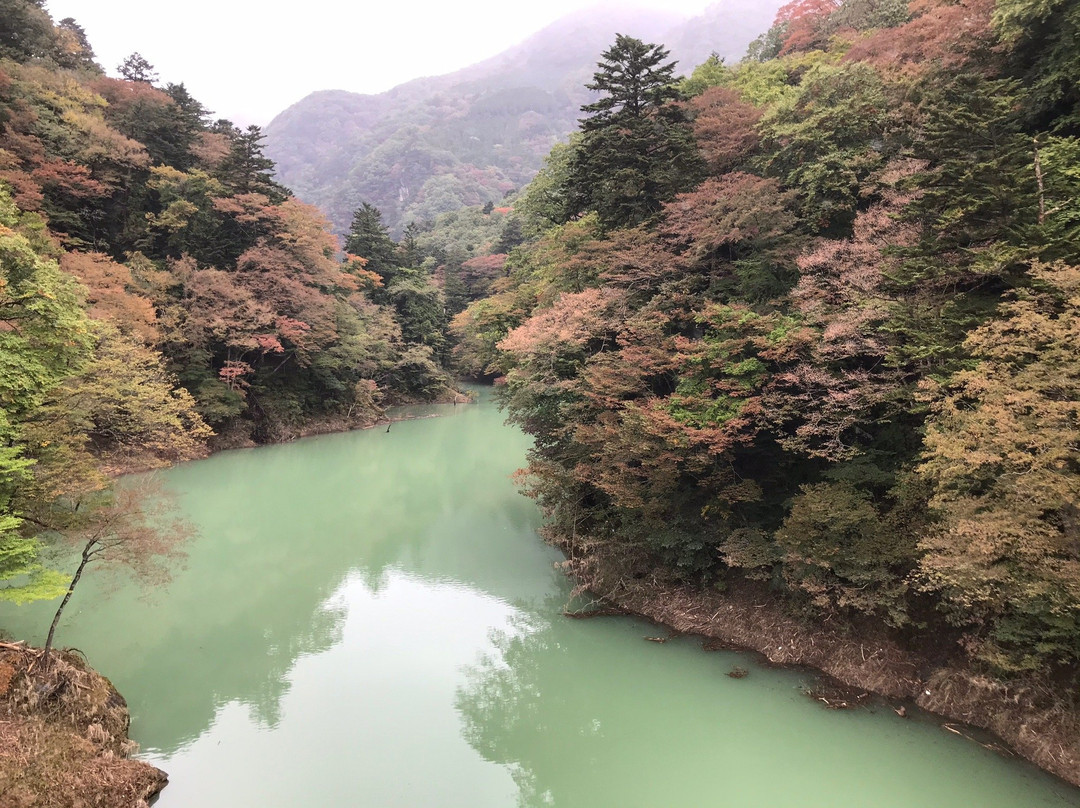 Mikaeri Suspension Bridge景点图片