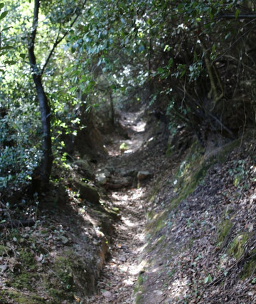 Le tombeau des Rivarola-Oletta必去景点