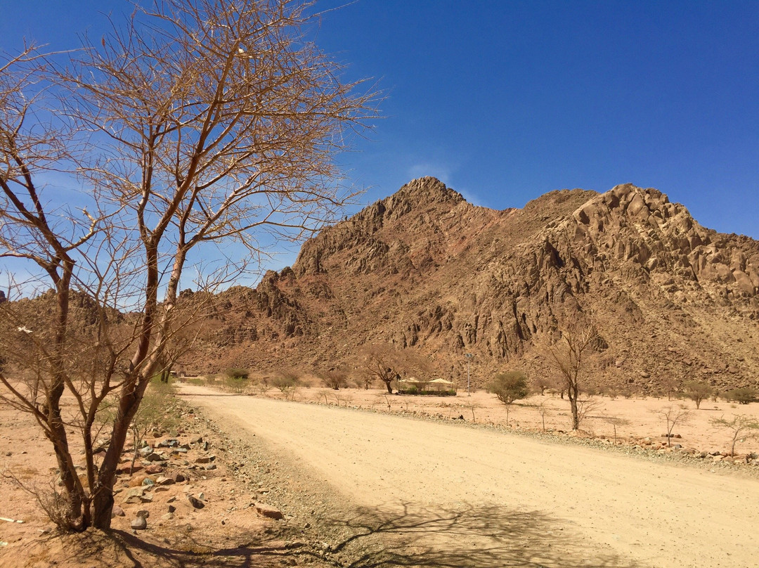 Wadi e Jinn - Al Baida景点图片
