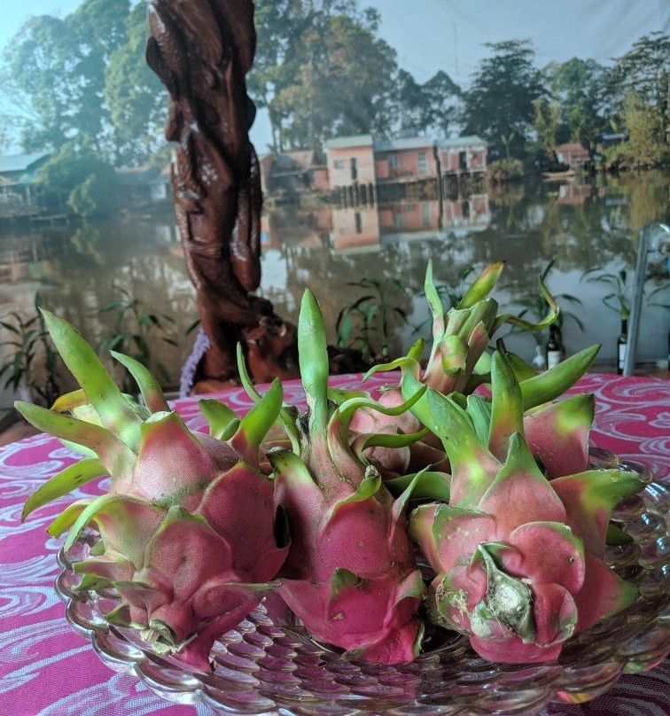 Hotel Sao Mai Cai Be主图