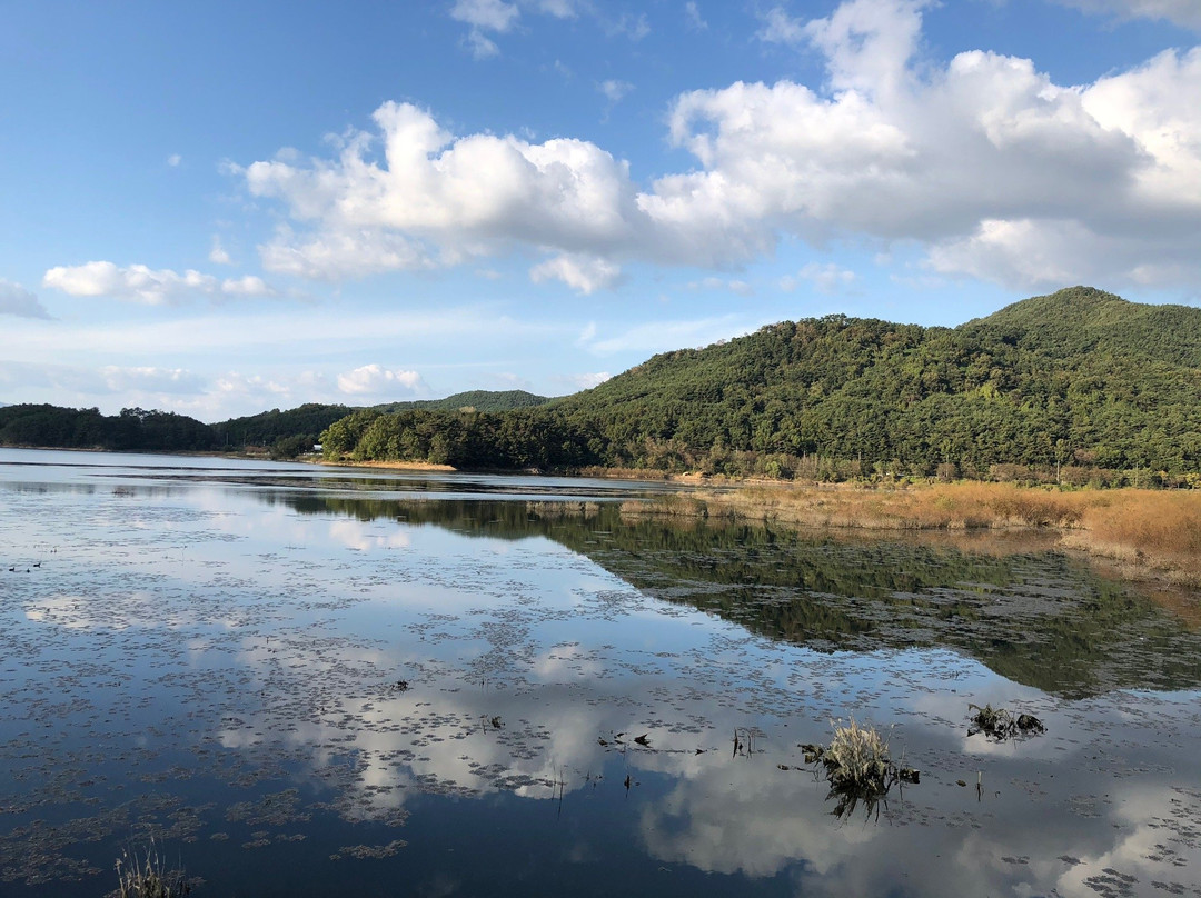 Gwangjuho Lake Eco Park景点图片