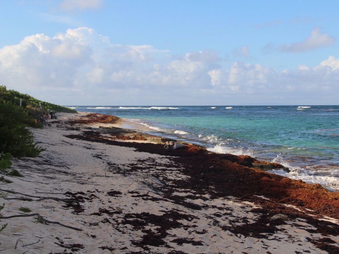 Beach of Anse Feuillard景点图片