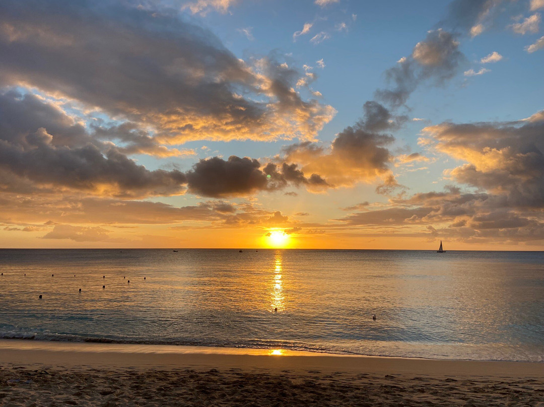 Jerry The Beach Man Sun Loungers-Paynes Bay必去景点