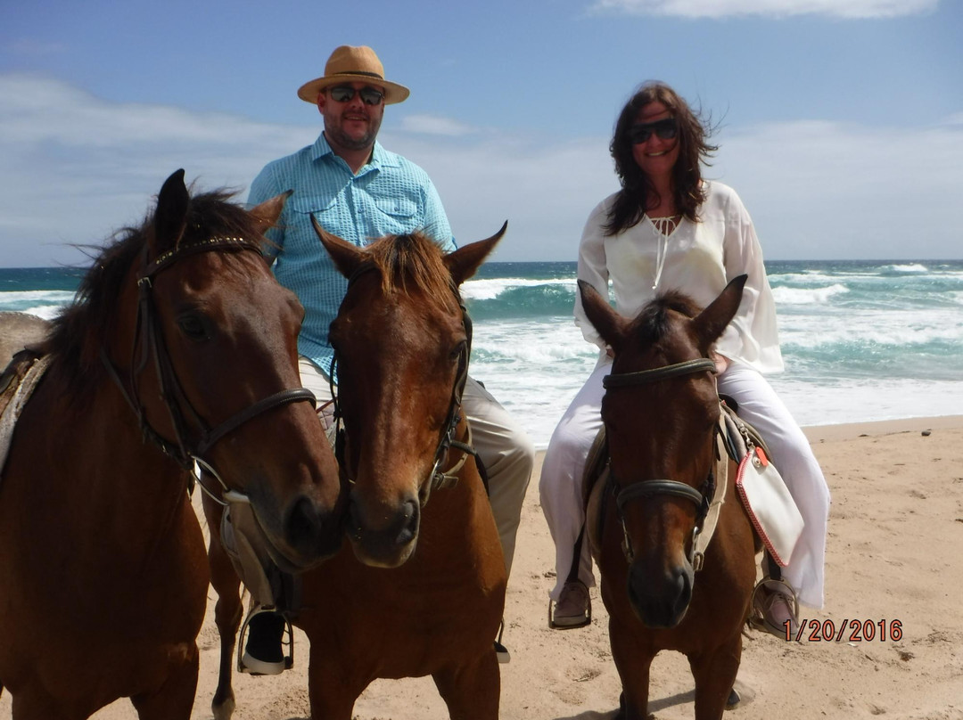 Jahworks Stable-Saint Peter Parish必去景点