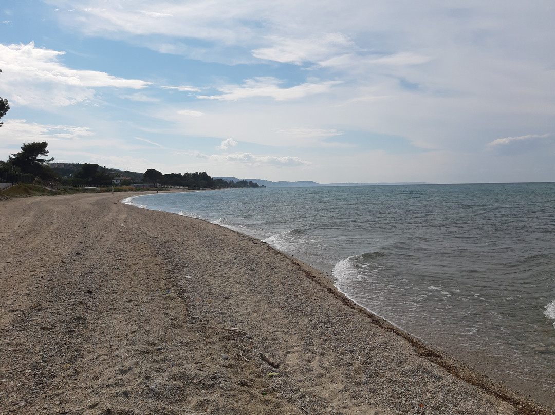 Tresor Sousouras主图