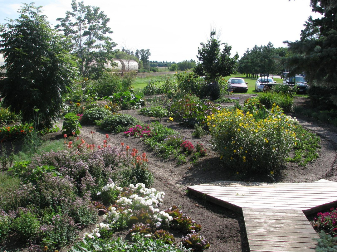 Hague旅游景点-Station Arts Centre