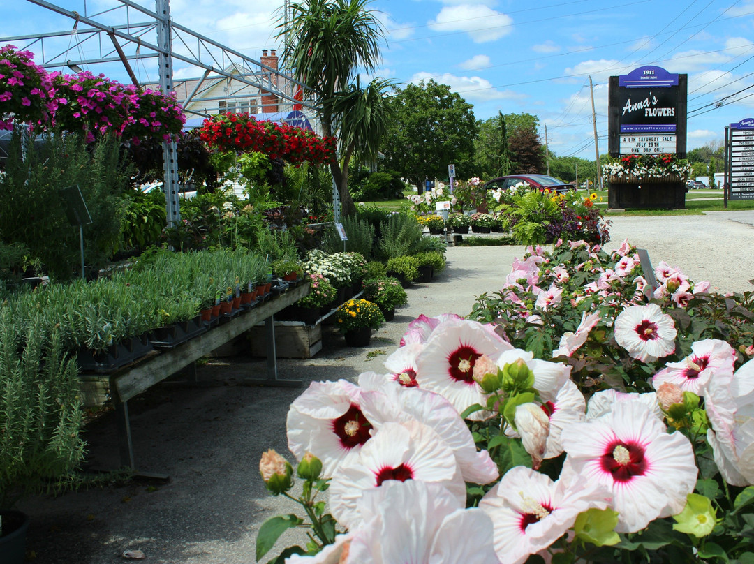 Ruthven旅游景点-Anna's Garden, Home & Wellness