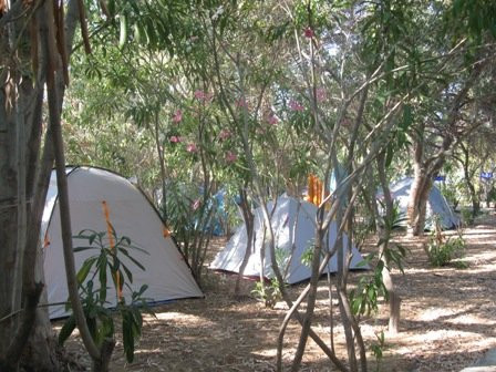 Serifos酒店住宿-Coralli Camping