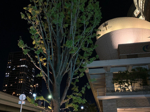 大阪城广场主图