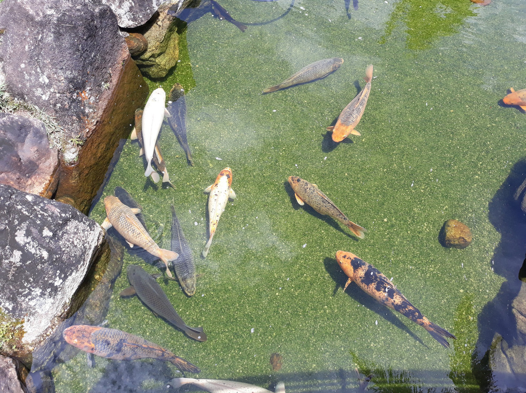 Sítio dos Lagos主图