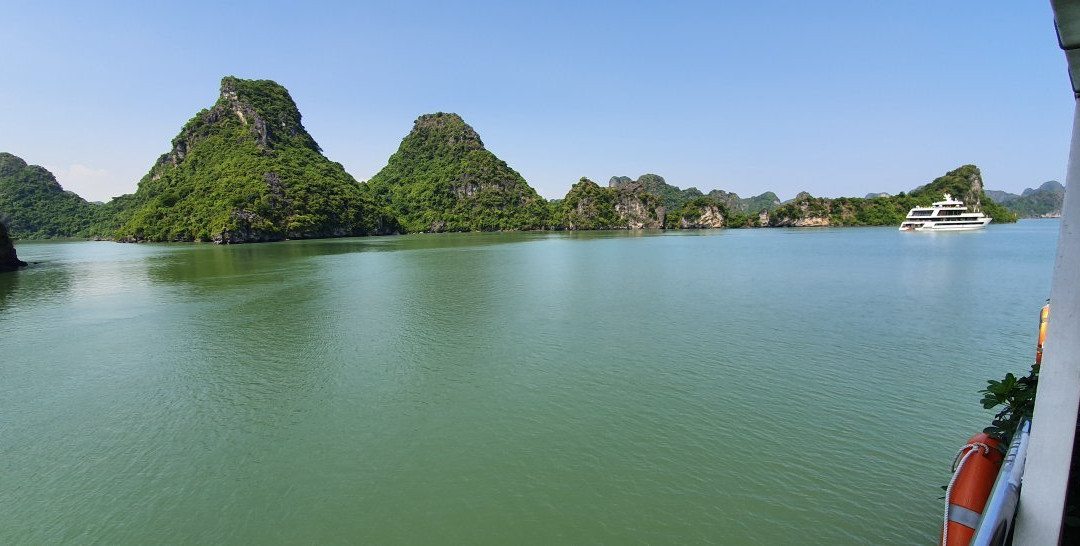 Camellia Cruise-团洲岛必去景点