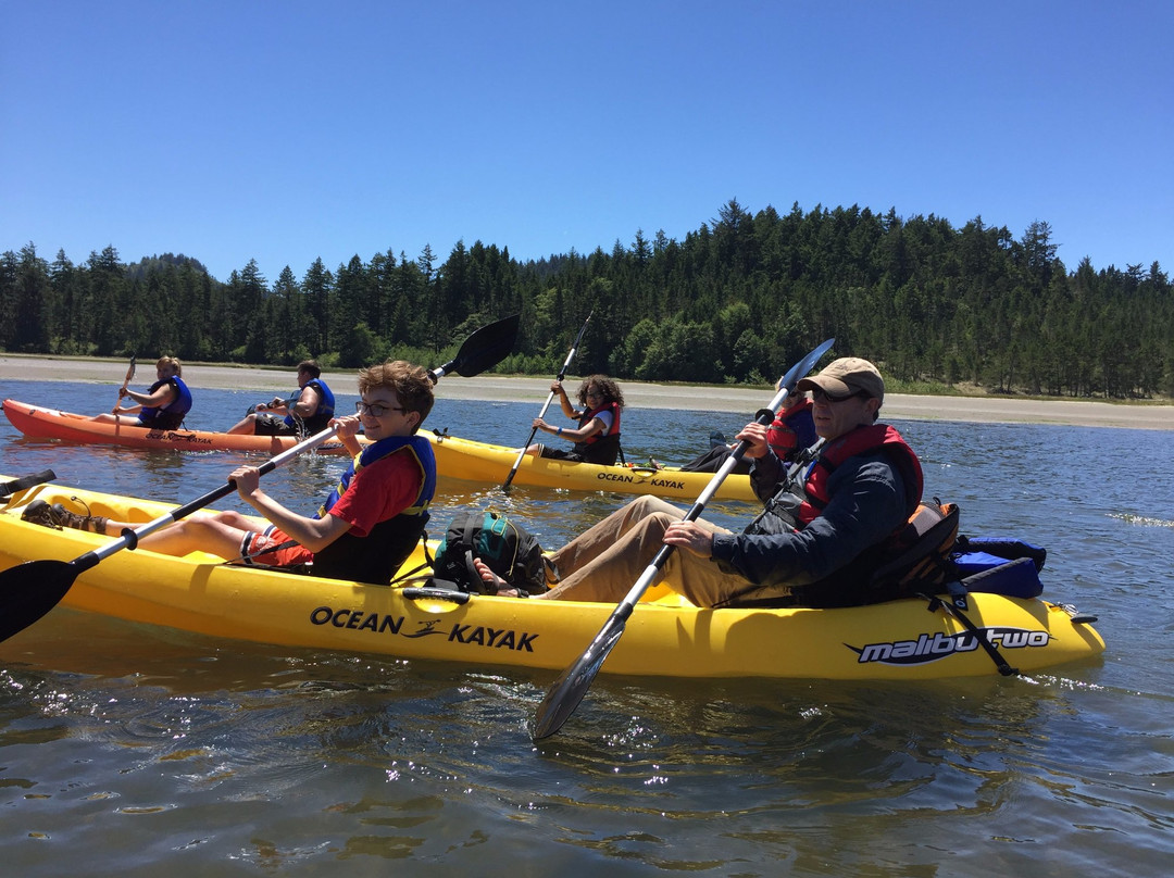 Safari Town Surf Shop-林肯城必去景点