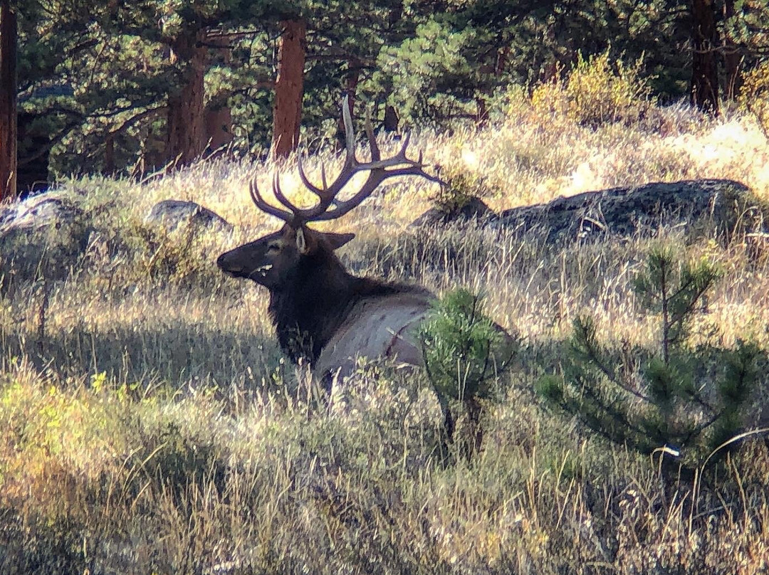 Moraine Park Museum-落基山国家公园必去景点