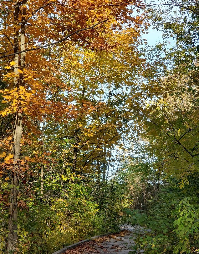 Parc-Nature-du-Bois-de-l'île-Bizard-蒙特利尔必去景点