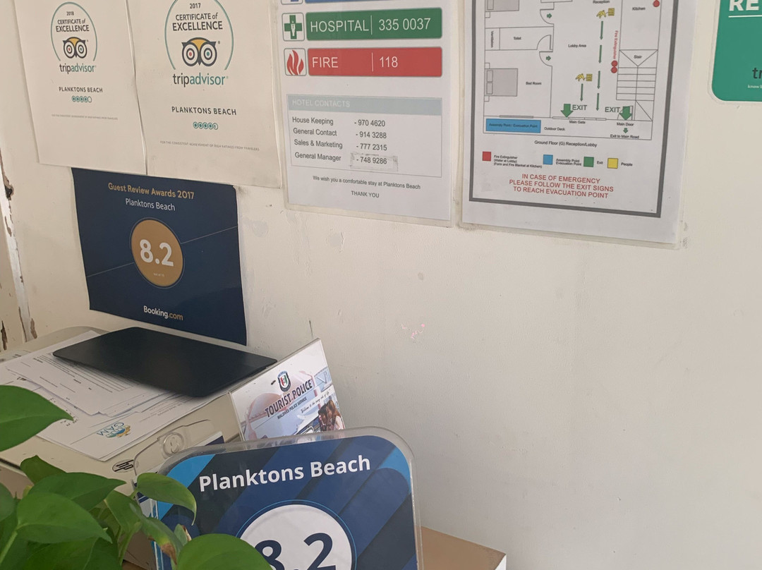 马尔代夫浮游生物海滩酒店主图