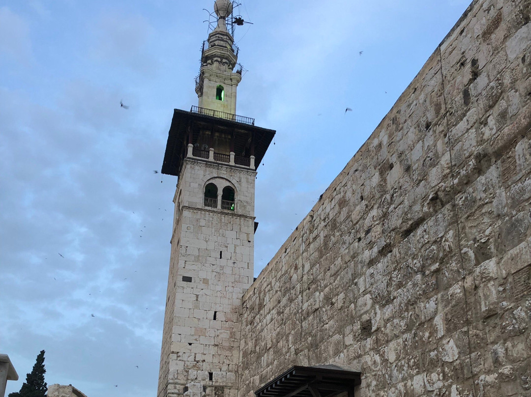 Saladin (Selahedîn) Mausoleum景点图片