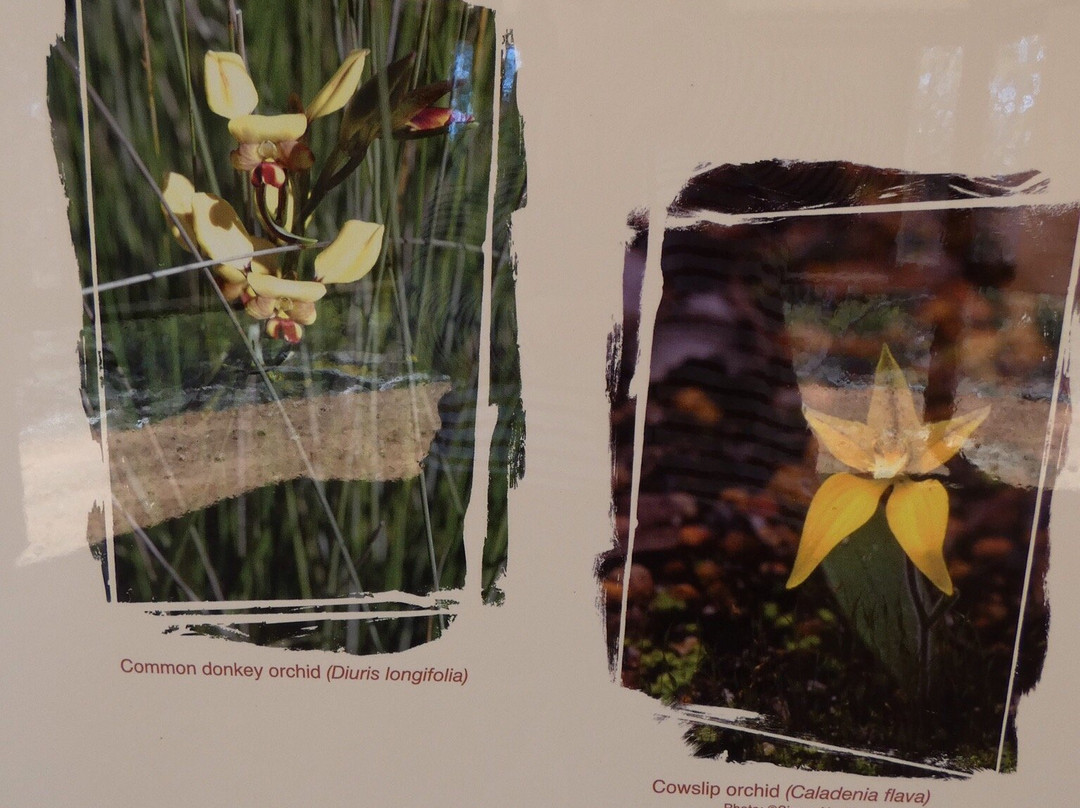 Boyagin Rock Nature Reserve-Pingelly必去景点