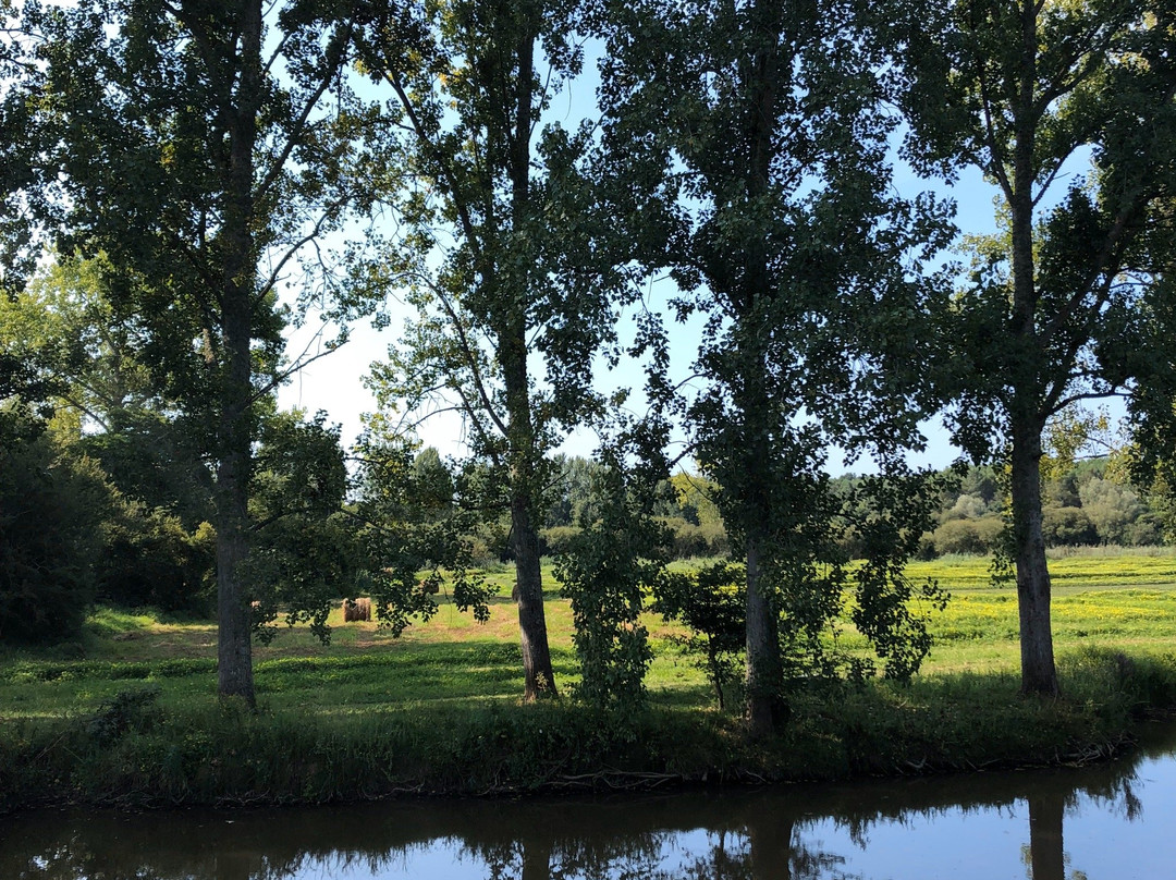 Natural reserve of Marais d'Orx景点图片