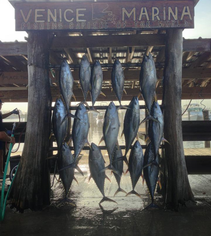 Home Run Fishing Charters景点图片