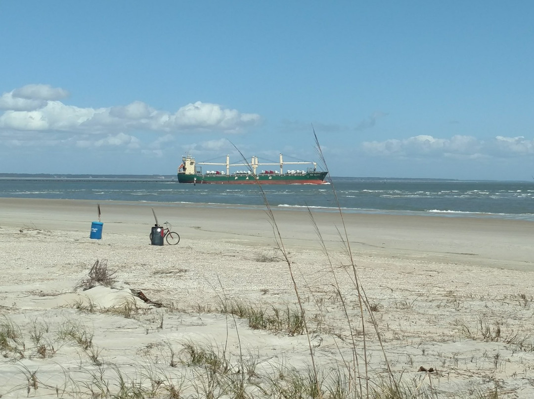 Savannah River Beach景点图片