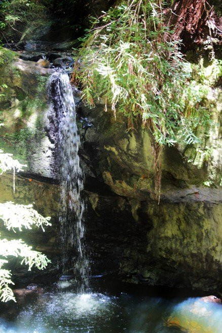 Sempervirens Falls景点图片