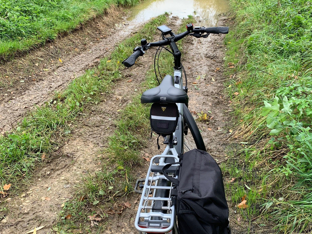 TY Cycles景点图片