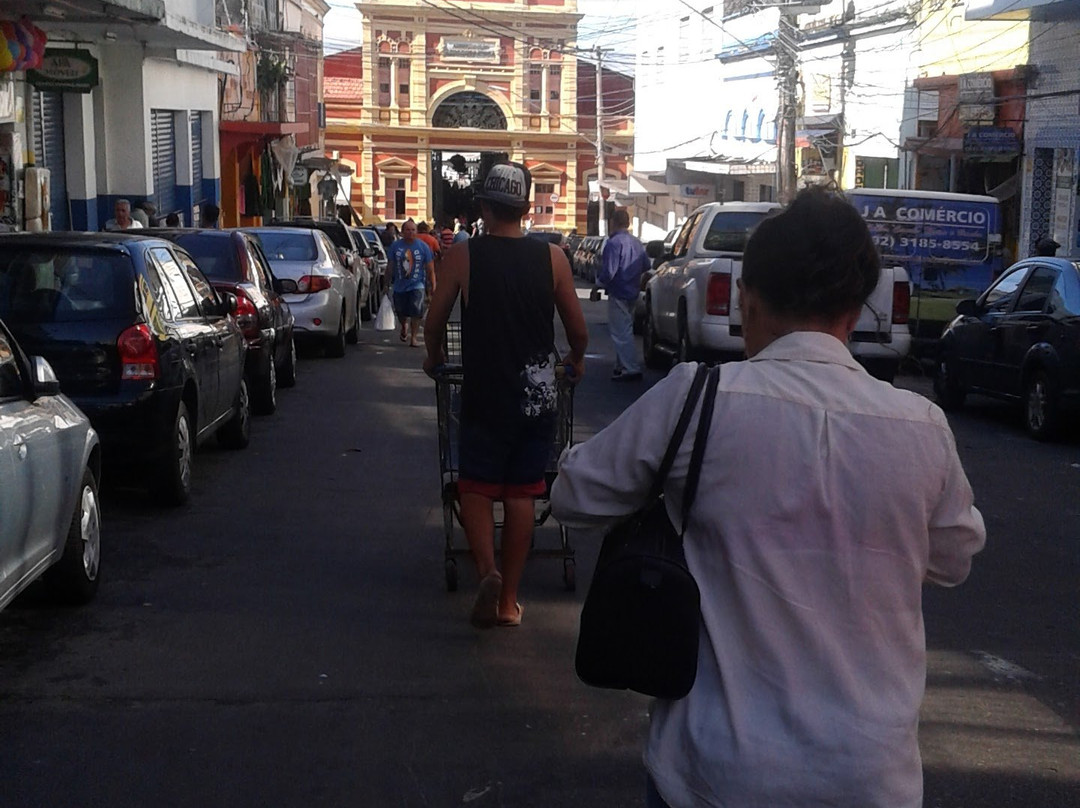 Adolpho Lisboa Municipal Market-玛瑙斯必去景点