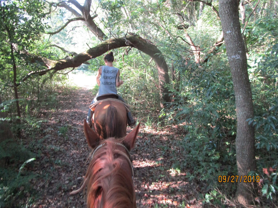 Oak Hollow Farm-费尔霍普必去景点