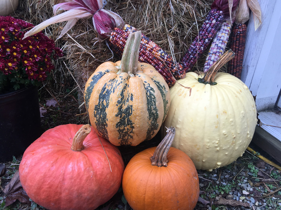 Soukup Farms-Dover Plains必去景点