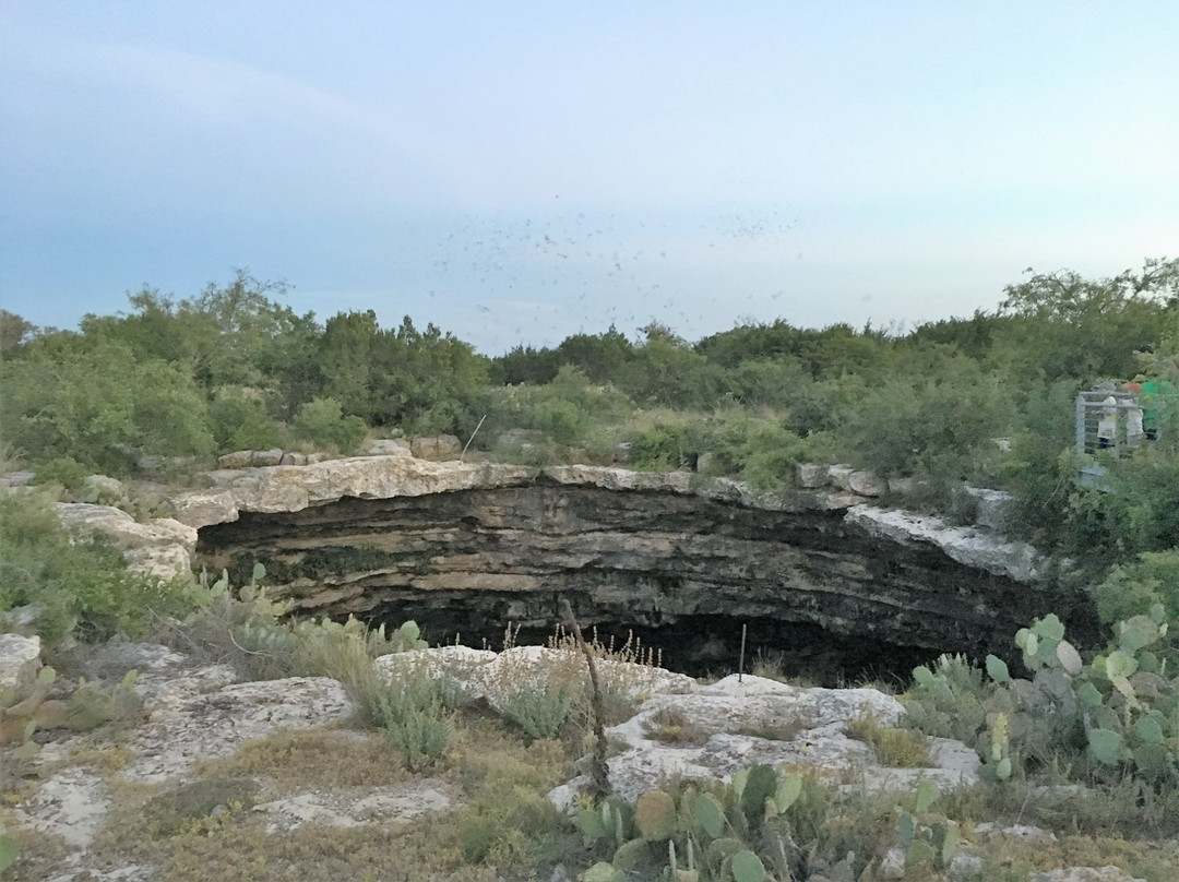 Rocksprings旅游攻略图片
