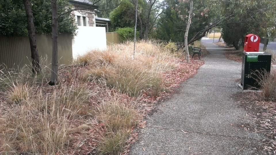 Windsor Street Reserve-安利必去景点