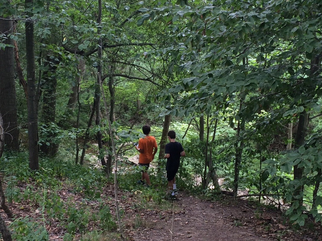 East Norriton旅游景点-Norristown Farm Park