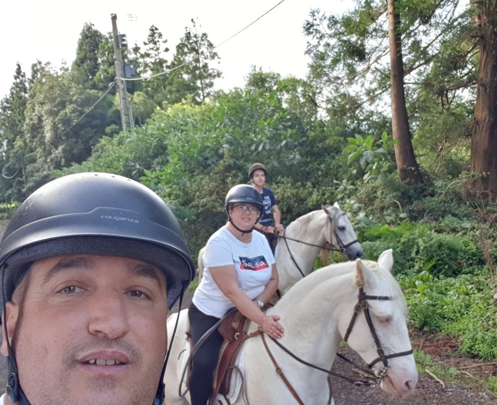 Basalto Horse Experience-亚速尔群岛英雄港中心区必去景点